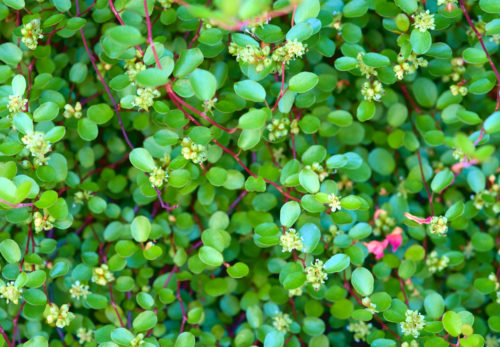 掲示板のうた 10